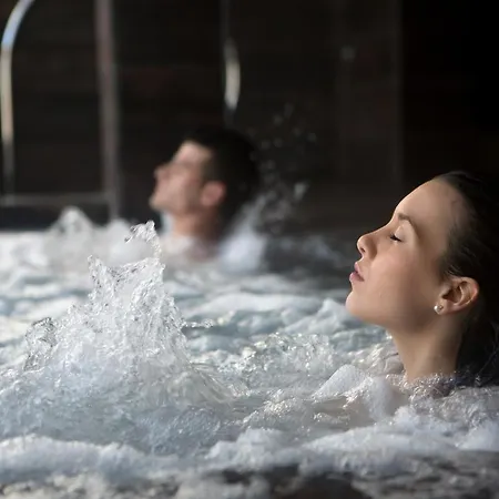 Delfin Aparthotel Svinoústí