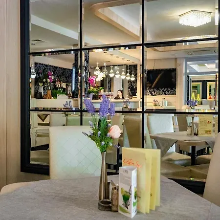 Delfin シフィノウイシチェ