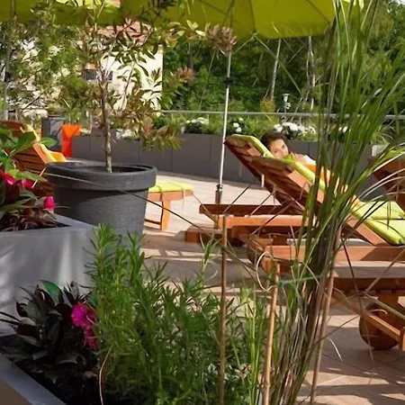 Delfin シフィノウイシチェ